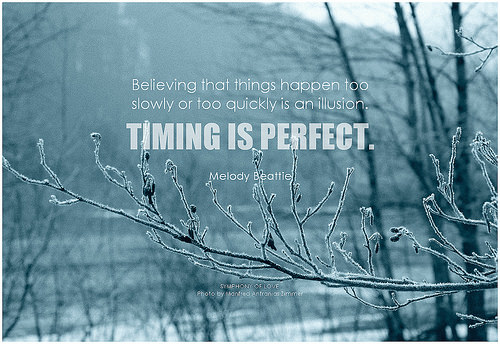 24938724510_67a17cb9e4